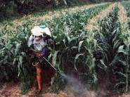 Biodiversidad Asociada.jpg