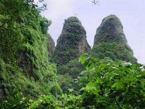 2565178999 1b2cc50bc1 o.jpg