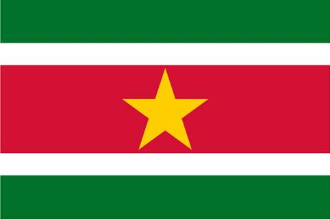 Archivo:Bandera de Surinam.jpg