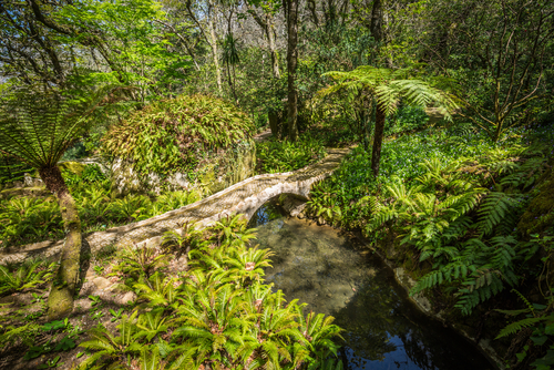 Archivo:Jardín del Palacio de Monserrate en Sintra.jpg