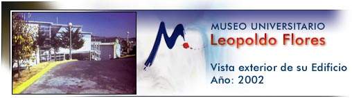 Archivo:Museo Leopoldo Flores 1.jpg