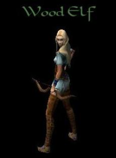 Elfa del bosque 1.JPG