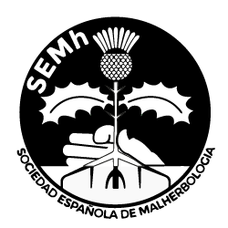 Logo semh.png