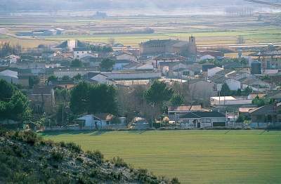 Foto de Campos de Ebro en Nuez de Ebro, Zaragoza