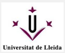 Logo UnivLerida02.JPG