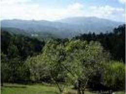 Archivo:Municipio de Danlí.jpg