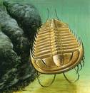 Trilobites.jpeg