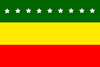 Bandera de Cantón Piñas