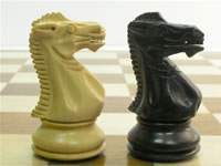Caballo de ajedrez.jpg