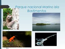 Parque nacional isla bastimientos.jpeg
