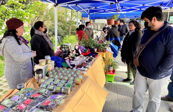 Archivo:Feria Intercultural en el Hospital Traumatológico Concepción.jpg