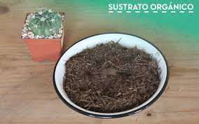 Sustrato orgánico.jpg