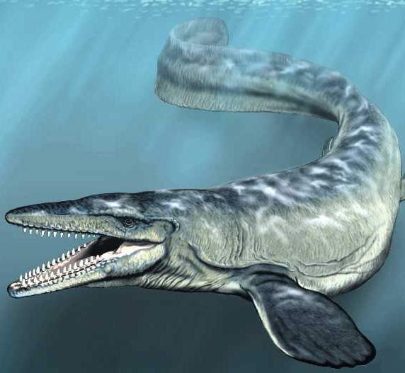 Mosasaurus EcuRed Mosasaurus EcuRed