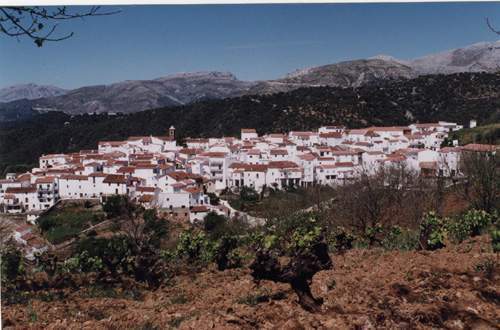 Archivo:Farajanoeste.jpg