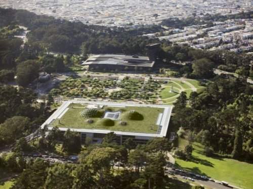 Archivo:Academia-de-ciencias-de-california-5.jpg
