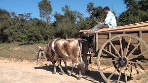 Imagen Distrito Caaguazú Paraguay.jpeg