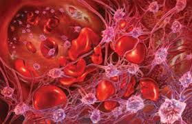 Sindrome hemolitico uremico atipico.jpg