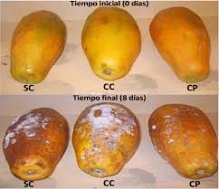 Enfermedades postcosecha.jpg