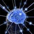 Transtorno neuropsíquiatrico.jpg