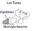 Algodones. Amancio.jpg