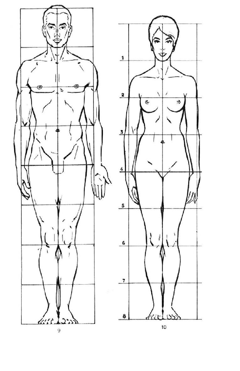 8 частей человека. Пропорции человека в полный рост. Пропорции мужской и женской фигуры. Пропорции человеческой фигуры. Мужская и женская фигура для рисования.