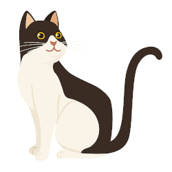 Sorpresa muy especial.jpg