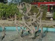 Fuente de las antillas.jpeg