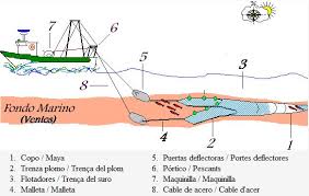 Red de arrastre.jpeg