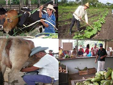 Archivo:Renglon economico.jpg