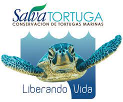 Salvatortuga.jpg