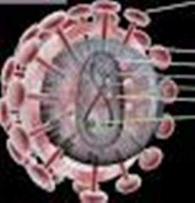 Seropositivo (Diagnostico) .jpg