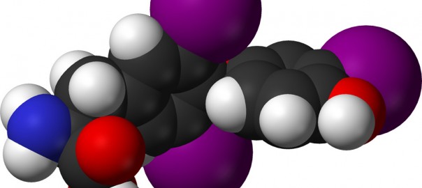 Archivo:Triyodotironina-604x270.jpg