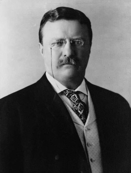 Archivo:Theodore Roosevelt.jpg