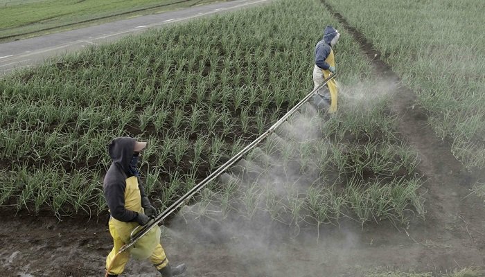 Cuando el aire se come la cosecha: contaminantes atmosféricos y agricultura
