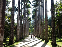 Jardin botanico.png