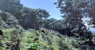 Archivo:Cumbre del Triunfo.jpg