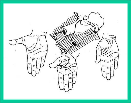 Mejoramiento de los indicadores de bienestar humano.