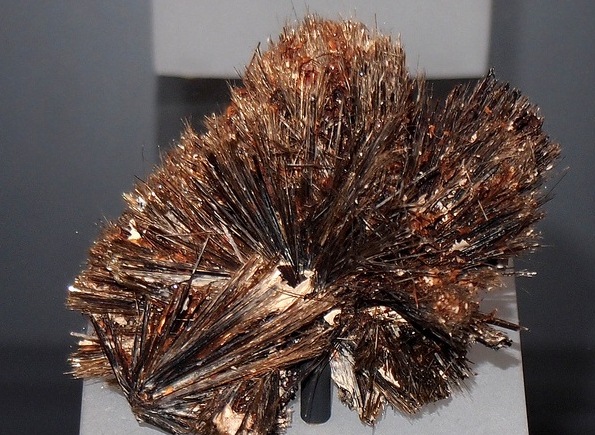 Archivo:Astrofilita 1.jpg