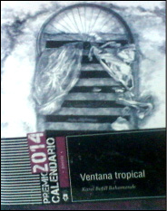 53 ventana tropical.jpg