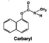 Carbarilll.jpg