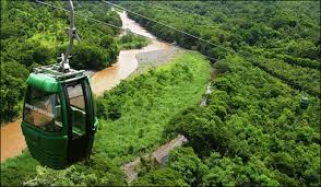 Humedal Lacustrino Bonilla portada.jpg