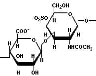 Sulfato de condroitina.jpg