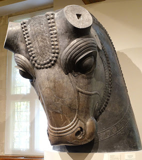 CABEZ DE TORO COLOSAL.jpg