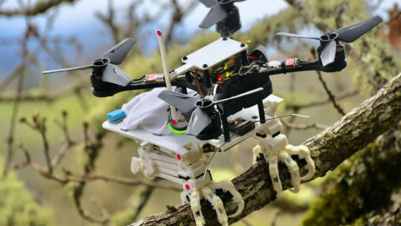 Archivo:SNAG, el dron con garras de halcón.jpg