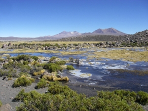 Archivo:Clima-Región de Arica y Parinacota.jpg