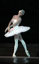 Archivo:Yanela Piñera.png