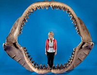 Img animales prehistoricos marinos 8507 paso 1 600.jpg