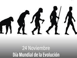 1 evolucion.jpg