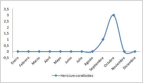 Archivo:Periodo de aparicion Hericium coralloides fenologia.jpg