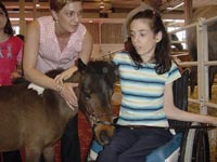 Tratamiento con caballos.png